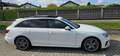 Audi A4 Audi*A4*Avant*40*TDI*S-line*Sthz*Kamera*AHK*Pano* Weiß - thumbnail 7