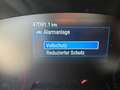 Ford Focus ST 2.3 DesignPkt,StylingPkt,Panoramadach uvw. Wit - thumbnail 14