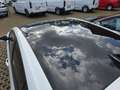 Ford Focus ST 2.3 DesignPkt,StylingPkt,Panoramadach uvw. Blanco - thumbnail 12