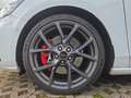 Ford Focus ST 2.3 DesignPkt,StylingPkt,Panoramadach uvw. Wit - thumbnail 6