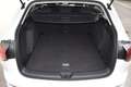 Volkswagen Golf VIII 2.0 TDI Life DSG / Anhängerkupplung / Servic Weiß - thumbnail 15