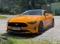 Ford Mustang Mustang 5,0 Ti-VCT V8 GT Aut. GT Orange - thumbnail 14