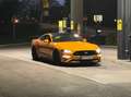 Ford Mustang Mustang 5,0 Ti-VCT V8 GT Aut. GT Orange - thumbnail 15