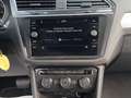 Volkswagen Tiguan 2.0 TDI SCR DSG Business BlueMotion Technology Grigio - thumbnail 15