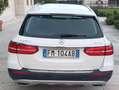 Mercedes-Benz E 220 Classe E All-Terrain d Sport 4matic auto Bianco - thumbnail 9
