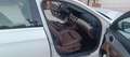 Mercedes-Benz E 220 Classe E All-Terrain d Sport 4matic auto Bianco - thumbnail 6