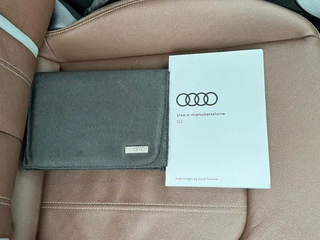 Audi Q2 view 14