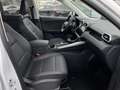 MG MG ZS Hybrid + Luxury Aut. 360°Kamera/LED -11%* Weiß - thumbnail 22