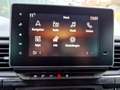 Nissan Primastar Tekna Kombi dci150 (150PS) 2,8t Gris - thumbnail 14