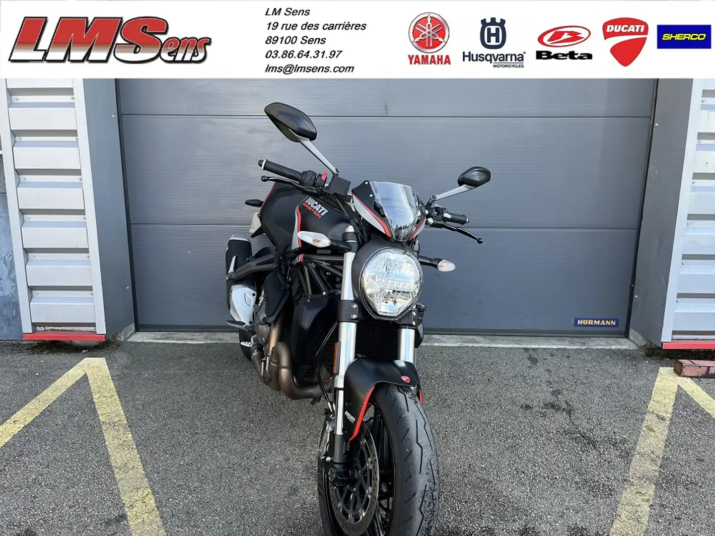 Ducati Monster 821 Noir - 2