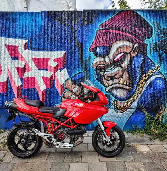 Ducati MULTISTRADA 1000