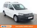 Volkswagen Caddy 2.0 TDI Weiß - thumbnail 8