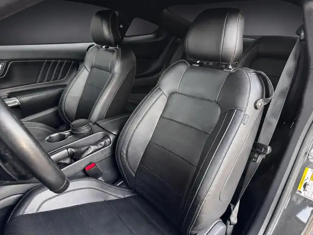 Ford Mustang view 15