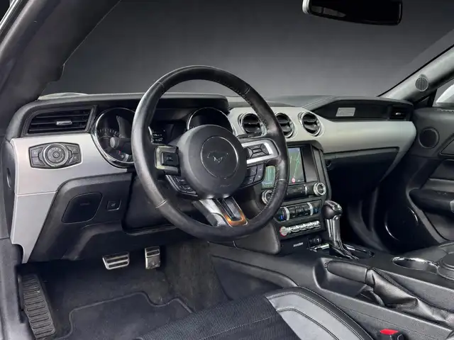 Ford Mustang view 14