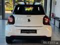 smart forFour forfour Passion Twinamic+Navi+Pano+SHZ+Komfort-P Blanc - thumbnail 6