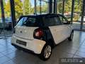 smart forFour forfour Passion Twinamic+Navi+Pano+SHZ+Komfort-P Blanc - thumbnail 5