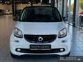 smart forFour forfour Passion Twinamic+Navi+Pano+SHZ+Komfort-P Blanc - thumbnail 2