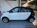 smart forFour forfour Passion Twinamic+Navi+Pano+SHZ+Komfort-P Blanc - thumbnail 4