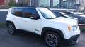 Jeep Renegade 1.6 mjt Limited 120 CV Bianco - thumbnail 5