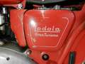 Moto Guzzi Lodola Lodola 235 GT Rouge - thumbnail 2