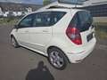 Mercedes-Benz A 160 A -Klasse A 160,Schiebedach, HU+AU NEU Blanco - thumbnail 4