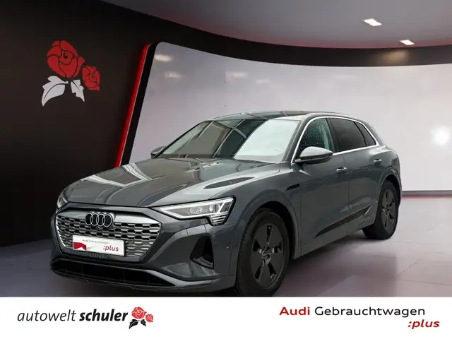 Audi Q8 e-tron 55 quattro AHK ACC RFK Navi LED