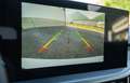 Ford Focus Turnier 1,0 EcoBoost Hybrid Active Weiß - thumbnail 16