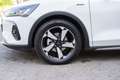 Ford Focus Turnier 1,0 EcoBoost Hybrid Active Weiß - thumbnail 9