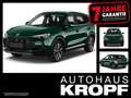 MG ZS Hybrid+ Luxury 360Grad,SHZ,PDC,Keyless,Autom. Verde - thumbnail 1