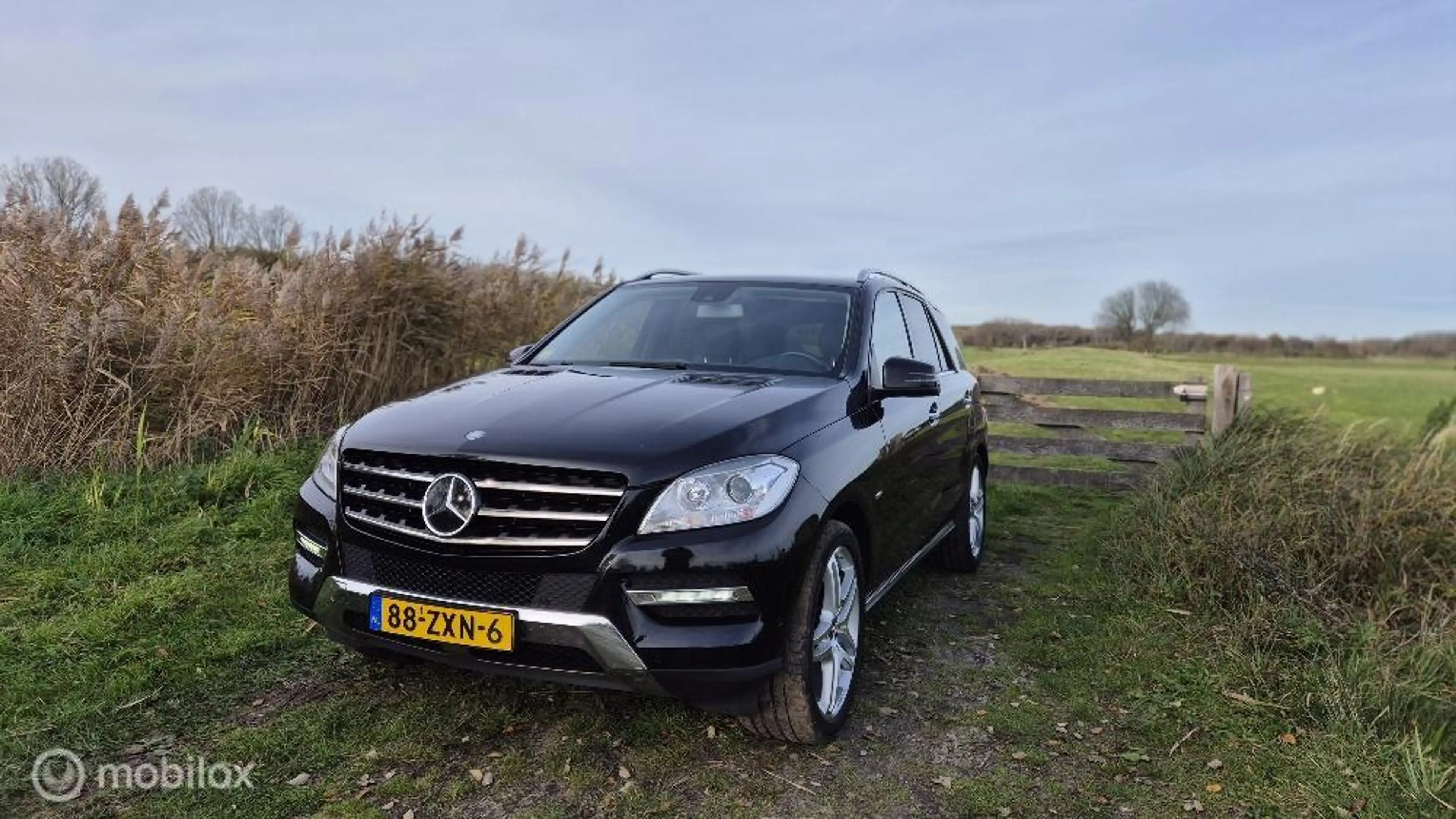 Mercedes-Benz ML 350 — photo 6