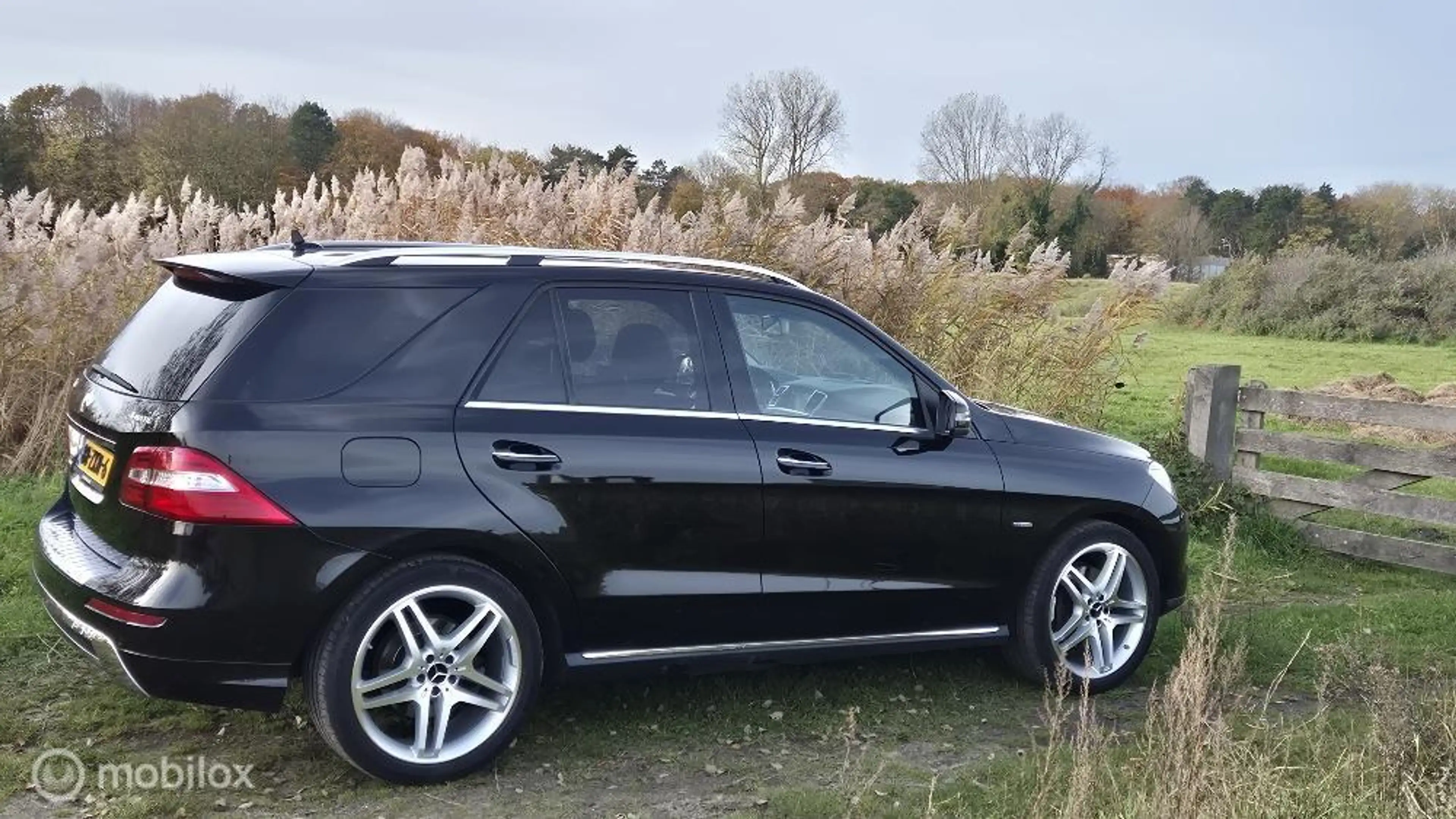 Mercedes-Benz ML 350