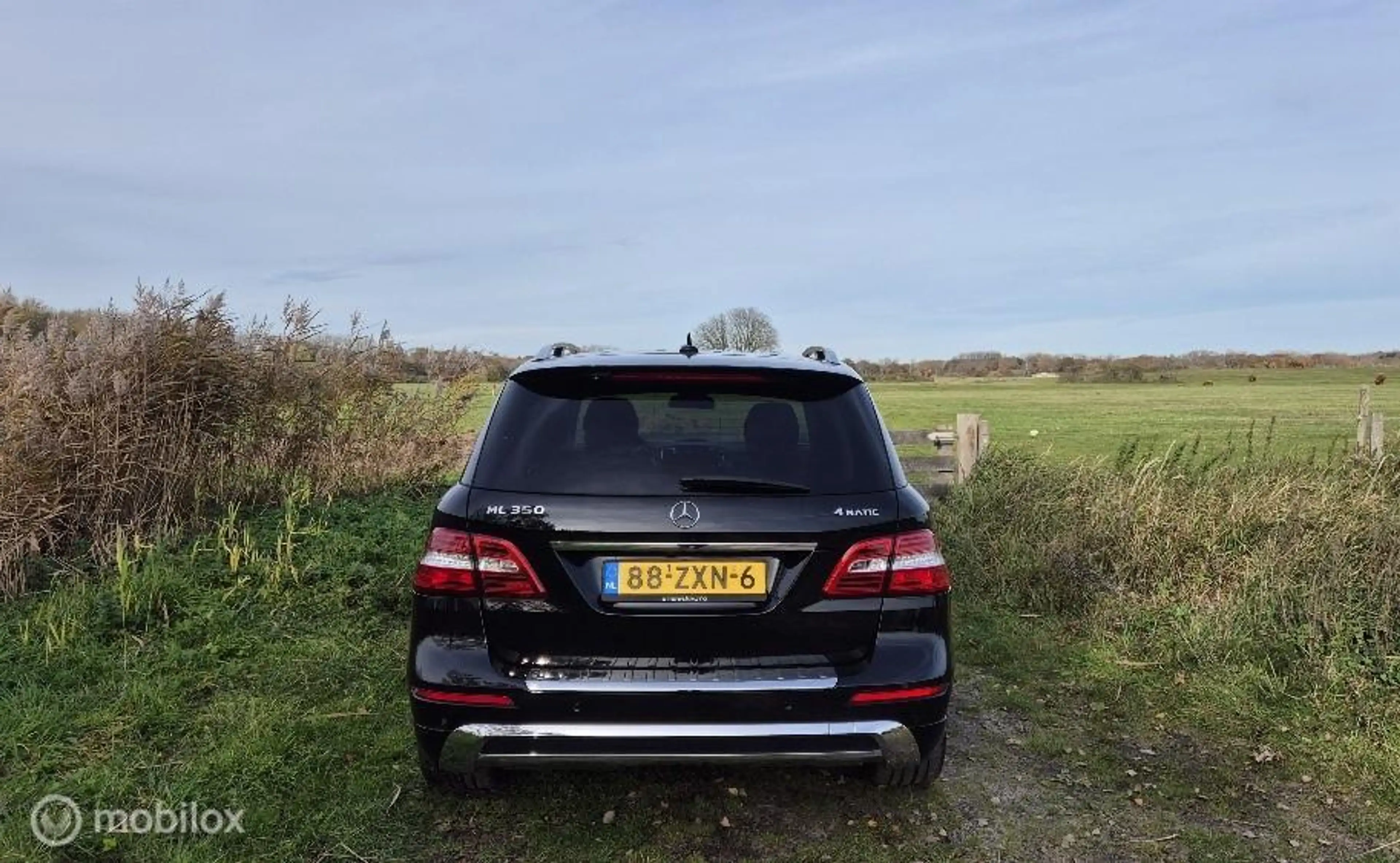 Mercedes-Benz ML 350 — photo 9