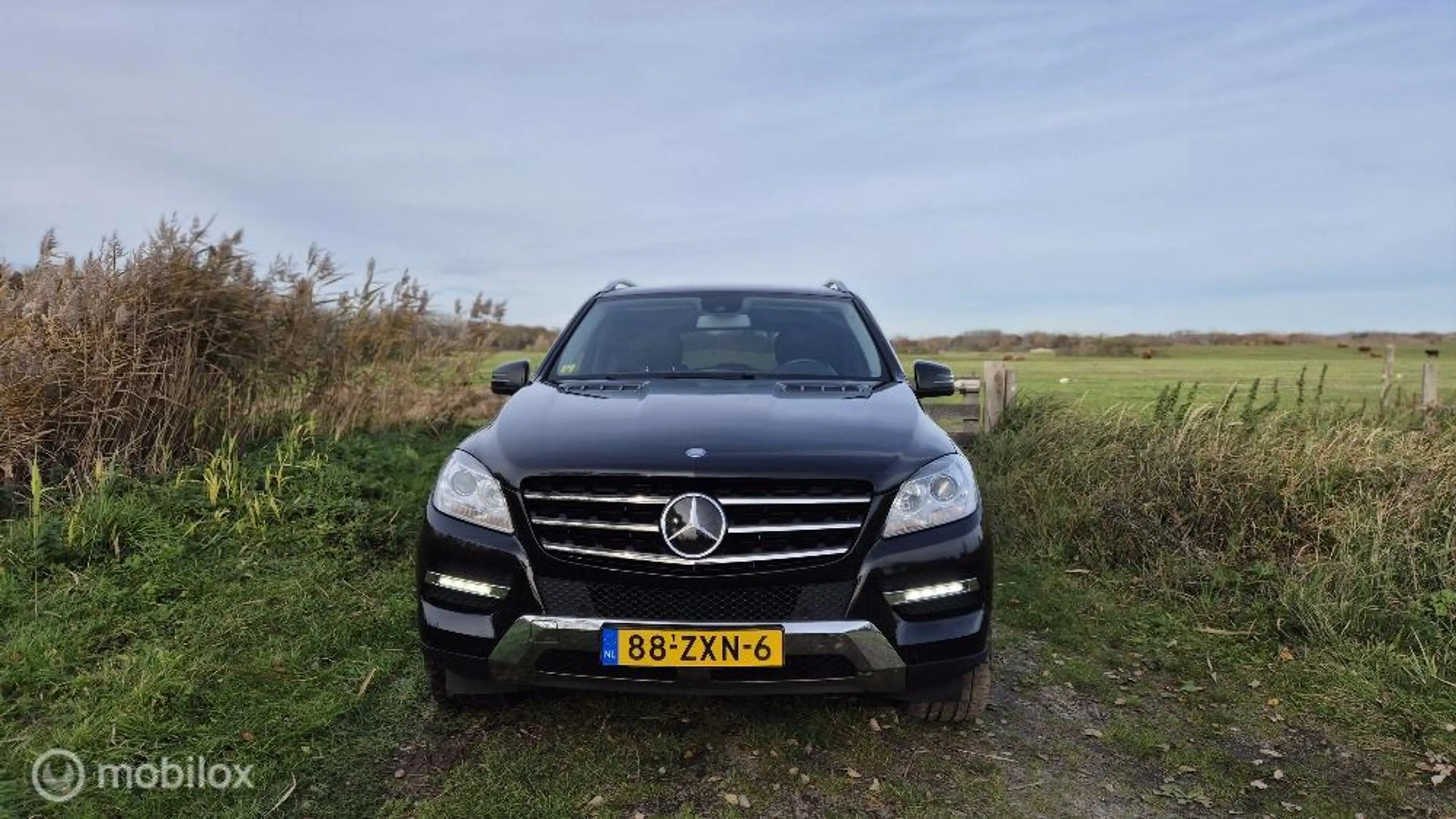 Mercedes-Benz ML 350 — photo 5