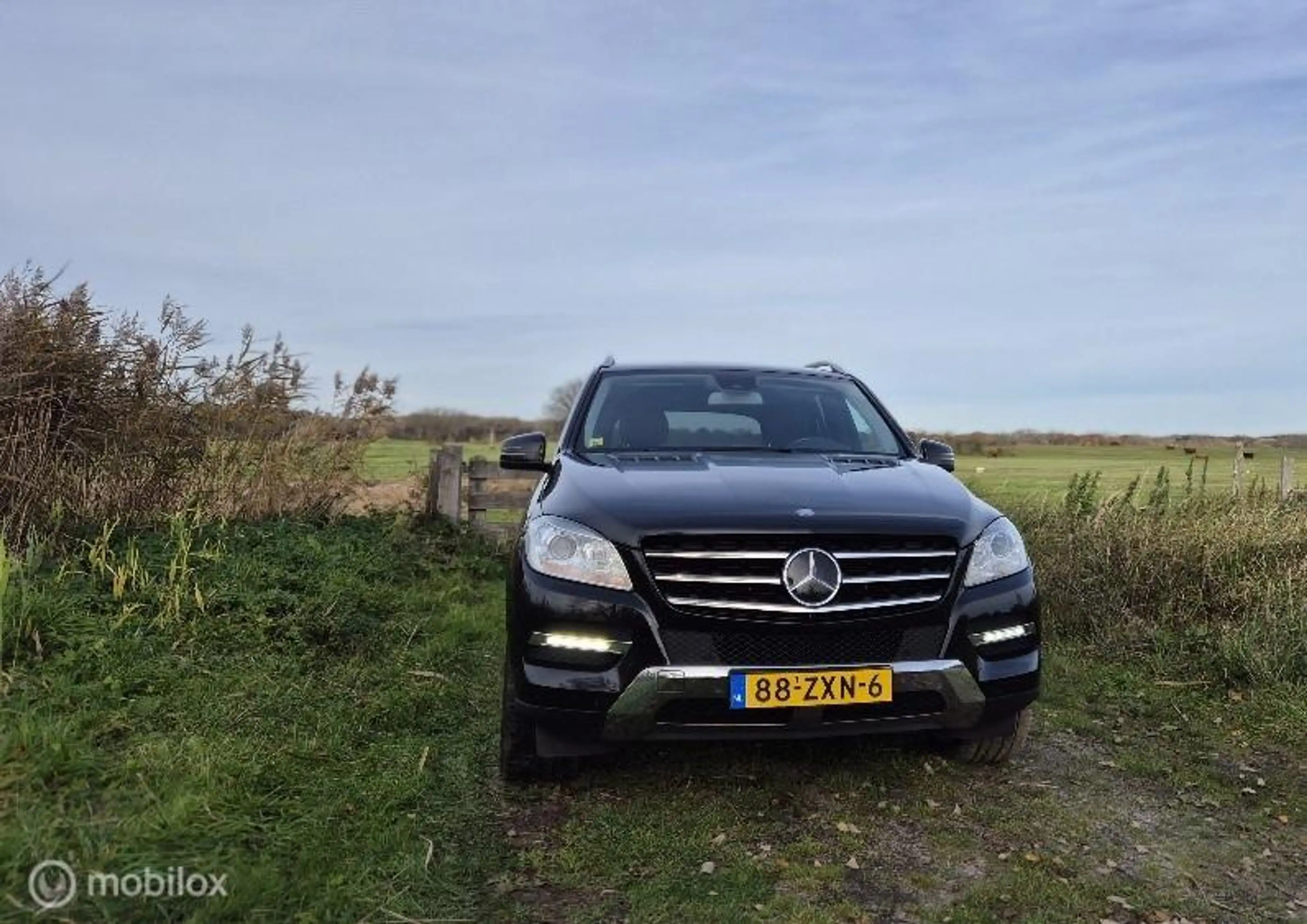 Mercedes-Benz ML 350 — photo 4