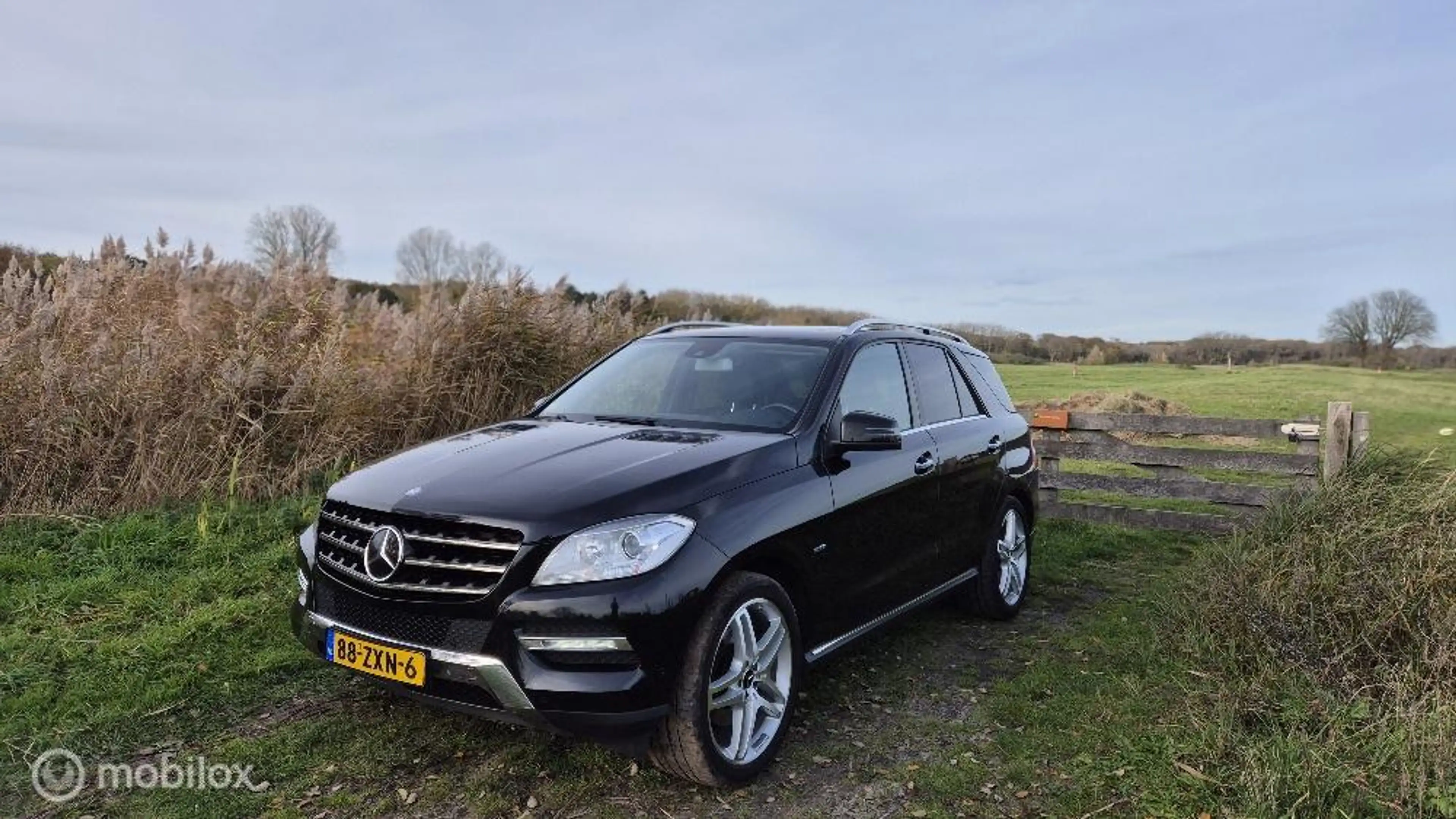 Mercedes-Benz ML 350 — photo 3