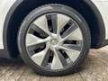 Tesla Model Y Gran Autonomía 4WD Blanco - thumbnail 26
