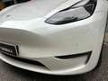Tesla Model Y Gran Autonomía 4WD Blanco - thumbnail 18