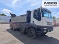 Iveco TRAKKER mit EFFER Kran !Tauschmotor! Weiß - thumbnail 2