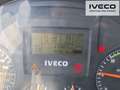 Iveco TRAKKER mit EFFER Kran !Tauschmotor! Weiß - thumbnail 8