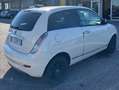 Lancia Ypsilon Ypsilon II 2007 1.2 8v Platinum 69cv Bianco - thumbnail 3