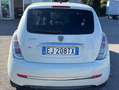 Lancia Ypsilon Ypsilon II 2007 1.2 8v Platinum 69cv Bianco - thumbnail 8