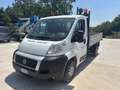 Fiat Ducato RIBALTABILE Bianco - thumbnail 6