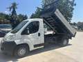 Fiat Ducato RIBALTABILE Bianco - thumbnail 4