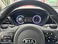Kia Niro 1.6 GDi Hybrid DynamicPlusLine | All Season | Stuu Wit - thumbnail 19