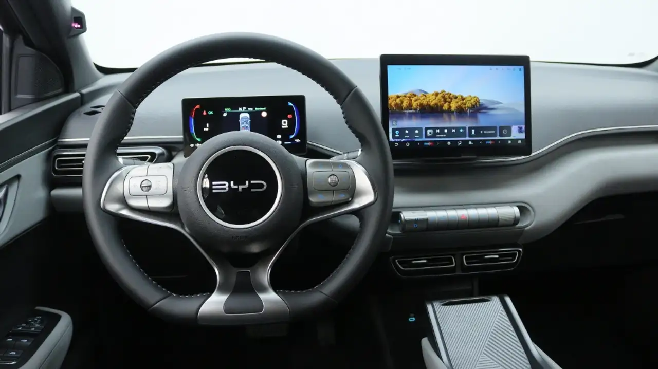 BYD DOLPHIN SURF