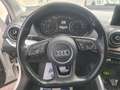Audi Q2 1.6 TDI 116 CV - SPORT Bianco - thumbnail 8