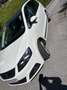 SEAT Alhambra Alhambra GT 2,0 TDI CR 4WD GT Weiß - thumbnail 7