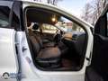 Volkswagen Polo Austria BlueMotion Tech Weiß - thumbnail 7