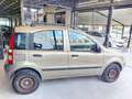 Fiat Panda 1.2 Climbing Natural Power Bronze - thumbnail 6