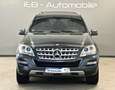 Mercedes-Benz ML 350 CDI 4M Sport/Off-Road/Distronic/Xenon/AHK Gris - thumbnail 6